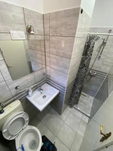 ein Badezimmer mit einem Waschbecken, einem WC und einem Spiegel in der Unterkunft Aranypatak Apartmanház Hévíz in Hévíz