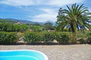 ein blauer Pool in einem Garten mit Palmen in der Unterkunft Ferienhaus für 10 Personen in La Caridad, Teneriffa Nordküste von Teneriffa in Tacoronte