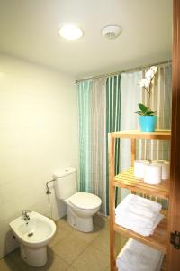 een badkamer met een toilet en een wastafel bij Apartamento Labegain 1 in Sestao