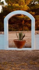 Φωτογραφία από το άλμπουμ του Can Roca - Modern & Stylish Villa σε Sant Ferran de Ses Roques