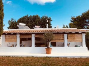 uma casa com um vaso de plantas em frente em Stilish - Homely House #5 em Sant Ferran de Ses Roques