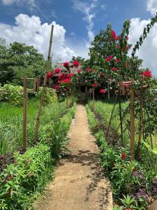 a garden with red flowers on a dirt road at PuBin Spice Hills in Hòa Bình