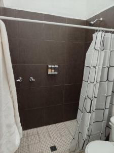 a bathroom with a shower and a toilet at DGM Lofts MTY MN 960 F centro cerca de todo in Monterrey