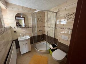 a bathroom with a shower and a toilet and a sink at POKOJE GOŚCINNE U ANIELI in Szczyrk