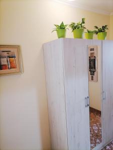 a white cabinet with potted plants on top of it at Apartman Biljana in Šabac