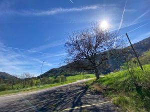 le Relais du Doubs في Soubey: شجرة على جانب الطريق