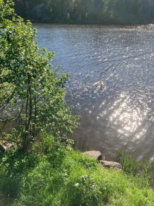 Afbeelding uit fotogalerij van Lakeside Moss in Moss