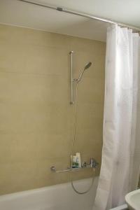 La salle de bains est pourvue d'une douche avec rideau de douche. dans l'établissement Zentral, free Parking, WIFI, nähe Bahnhof, Shops, à Frutigen