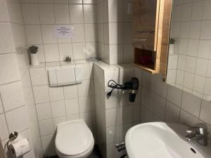 a small bathroom with a toilet and a sink at Hansenbauernhof in Ruhpolding