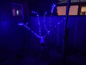 a christmas tree with lights in the dark at Harvel Cottage in Paulton +54 photos