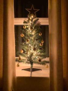 a christmas tree in a window with a star at Harvel Cottage in Paulton