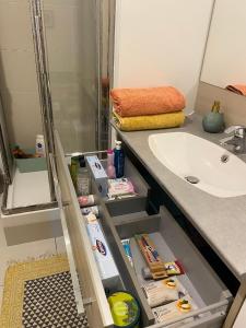een badkamer met een wastafel, een douche en een wastafel bij Paris-Versailles-Cosy-Calme-WIFI in Parijs