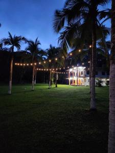 a group of palm trees in front of a house with lights at La Amistad agrotourism farm in Penonomé
