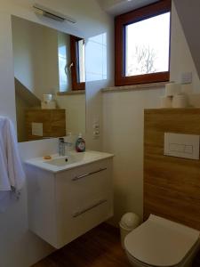 a bathroom with a sink and a toilet and a window at Surzynówka in Stryszawa