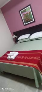 a bedroom with a bed with a red blanket on it at Hotel Don Enrique in El Soberbio