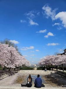 Un hombre y una mujer sentados en un banco bajo cerezos. en Charmant appartement cosy et paisible proche Paris - métro à 2min, en Romainville