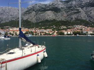 a boat in the water with mountains in the background at Apartment Adriatic in Makarska