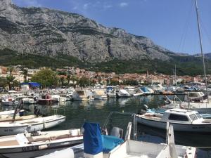 a bunch of boats docked in a harbor with a mountain at Apartment Adriatic in Makarska