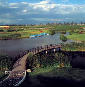 un puente sobre un río con un montón de barcos en La casa de Tita, en el sur de la Ciudad de México., en Ciudad de México