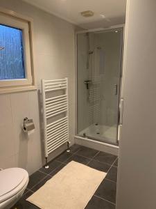 een badkamer met een douche en een toilet bij Bospark Ede Huisje 31 in Ede