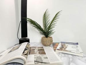een potplant op een tafel met een krant bij Attico Magnificent [Wi-Fi/Free Parking] in Palermo
