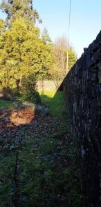 un mur en pierre à côté d'un champ et d'arbres dans l'établissement Ferienhaus für 9 Personen und 1 Kind in Lapido, Galicien Binnenland von Galicien, à Ortoño