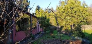 a view of a yard with trees and a house at Ferienhaus für 9 Personen und 1 Kind in Lapido, Galicien Binnenland von Galicien in Ortoño