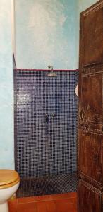 La salle de bains est pourvue d'une douche et de toilettes. dans l'établissement Ferienhaus für 9 Personen und 1 Kind in Lapido, Galicien Binnenland von Galicien, à Ortoño