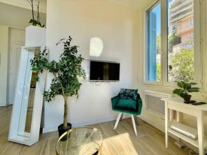 ein Wohnzimmer mit einer Pflanze und einem Fernseher an der Wand in der Unterkunft Charming T2 - 2 Minutes Walk From Monaco in Beausoleil
