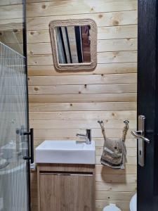 a bathroom with a sink and a mirror at Vikendica "Koliba kraj puta" in Divčibare