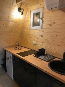 cocina con encimera y lavabo en una habitación en Vikendica "Koliba kraj puta" en Divčibare