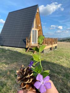 a person holding a flower in front of a tiny house at Vikendica "Koliba kraj puta" in Divčibare