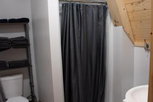 uma casa de banho com uma cortina de chuveiro preta e um WC. em Life's a Hoot em Au Gres