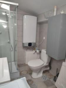a bathroom with a toilet and a glass shower at Studio 30 m 2 avec terrasse et coin détente in Cagnes-sur-Mer