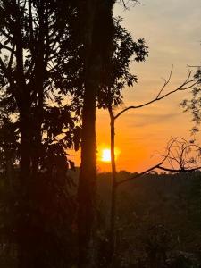 una puesta de sol con árboles en primer plano en Shrenya Orchidz-Coorg Nature Stay en Madikeri