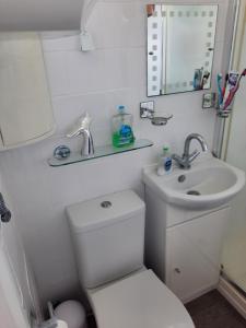 a small bathroom with a toilet and a sink at Family Tides-Chapel Saint Leonards in Chapel Saint Leonards