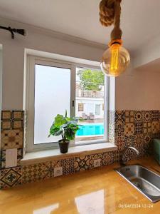 a kitchen window with a potted plant and a sink at Seixal Bay Village in Seixal