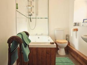 a bathroom with a tub and a toilet and a sink at Noxon Pond Cottage in Clearwell