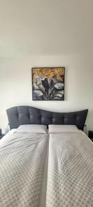 Edif La Luz Apartment No 4 with big private terrace في لوس سيلوس: غرفة نوم مع سرير مع لوحة سوداء للرأس