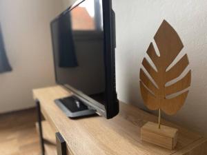einen TV auf einem Tisch mit einem Holzständer in der Unterkunft Appartements « La Parenthèse » in Wissembourg