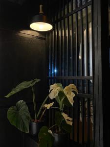 Billede fra billedgalleriet på Nhật Quang House 2 i Da Nang + 26 billeder