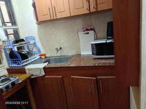 eine Küche mit einer Spüle und einer Mikrowelle auf der Theke in der Unterkunft Monalissa One bedroom apartment in Kisumu