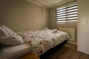 a bedroom with a bed with polka dot sheets and a window at Drents Genieten - Lavendelheide met uitzicht op het water in Erm