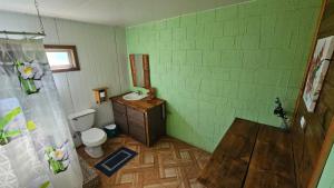 a green bathroom with a toilet and a sink at Las palmeras de Colbún in Colbún +4 photos