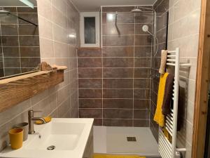 y baño con lavabo y ducha. en Appartement 2/4 personnes en Bussang