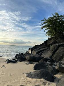 a beach with rocks and a tree on the beach at Chez Hedley Résidence : Couple/Business in Pointe aux Sable