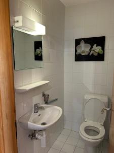 a bathroom with a sink and a toilet and a mirror at Fontanettaz V 015 - MOUNTAIN apartment 6 pers in Veysonnaz