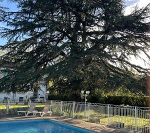 a tree with two chairs next to a swimming pool at Le Parc aux Cedres in Laroque