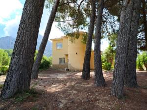 a house in the middle of a group of trees at Finca Caracol in Bolulla