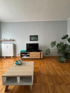 a living room with a tv and a coffee table at Apartament 18 in Toruń
